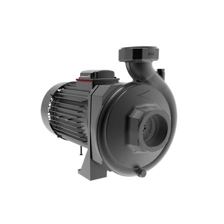 Консольный моноблочный одноступенчатый насос Grundfos NS 30-30 CVBP артикул 98907044 – фото внешнего вида